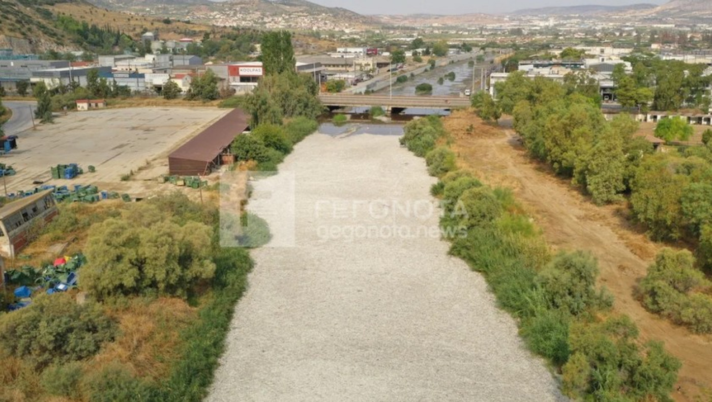 Βόλος-Ασύλληπτη καταστροφή: «Θάλασσα» νεκρών ψαριών στον Ξηριά (vid)