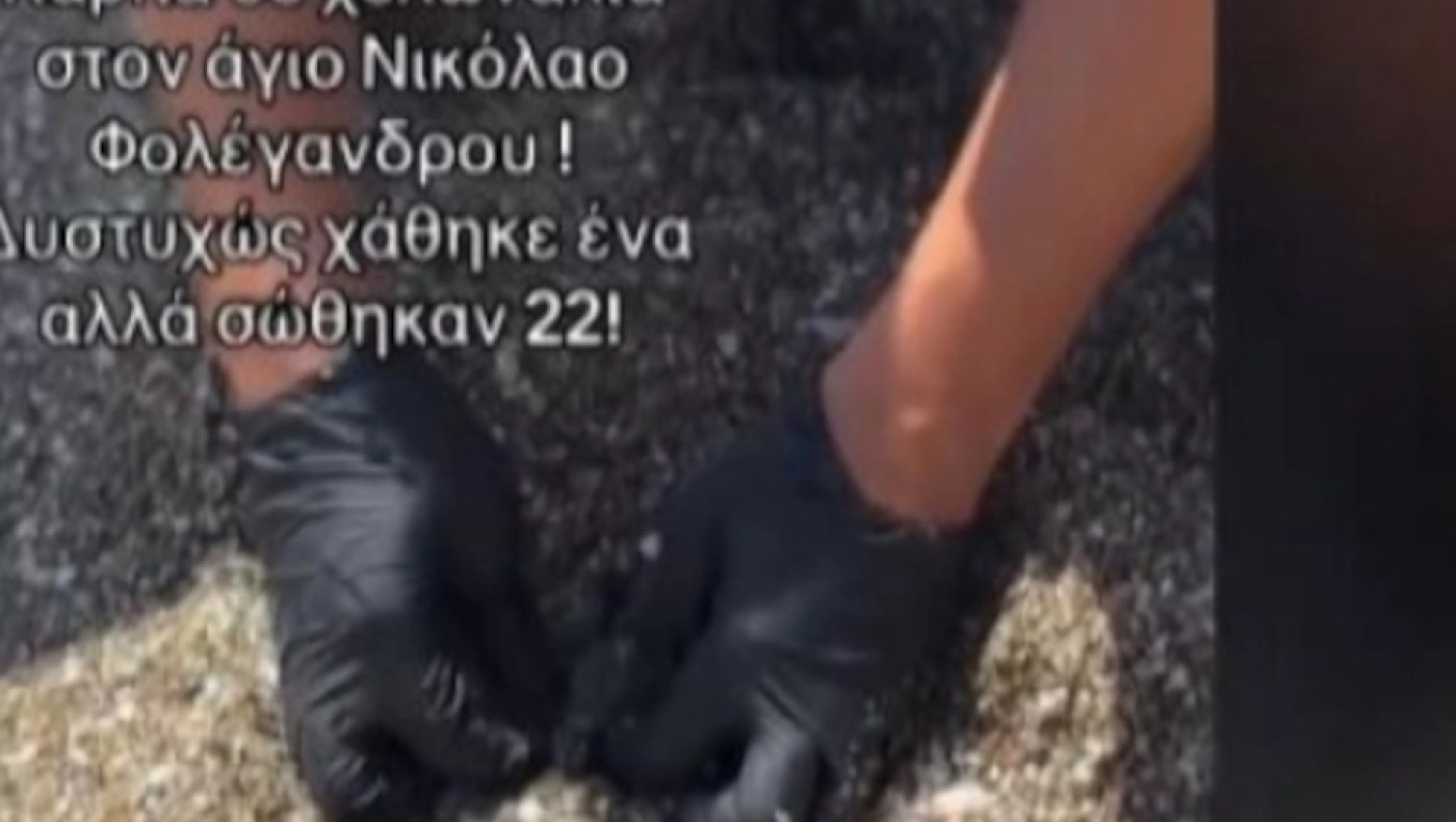 Φολέγανδρος: Διασώστης έκανε ΚΑΡΠΑ σε μικρή θαλάσσια χελώνα