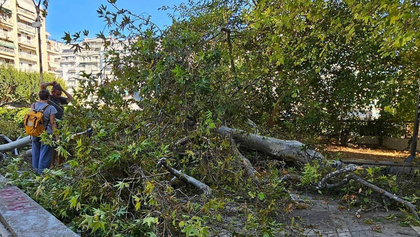 Θεσσαλονίκη: Δέντρο έπεσε πάνω σε άντρα που καθόταν σε παγκάκι