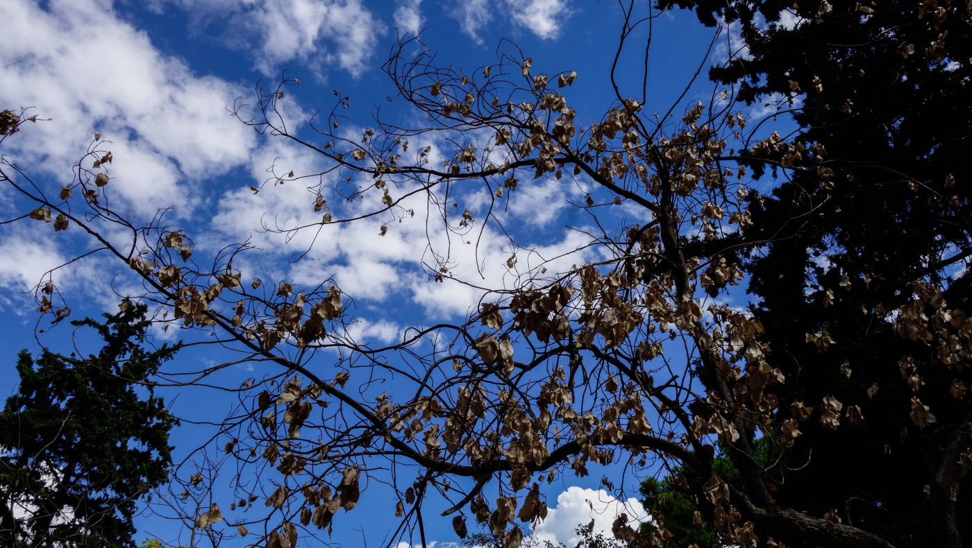 Καιρός: Έρχονται επικίνδυνα καιρικά φαινόμενα - Πού προβλέπονται καταιγίδες και χαλάζι