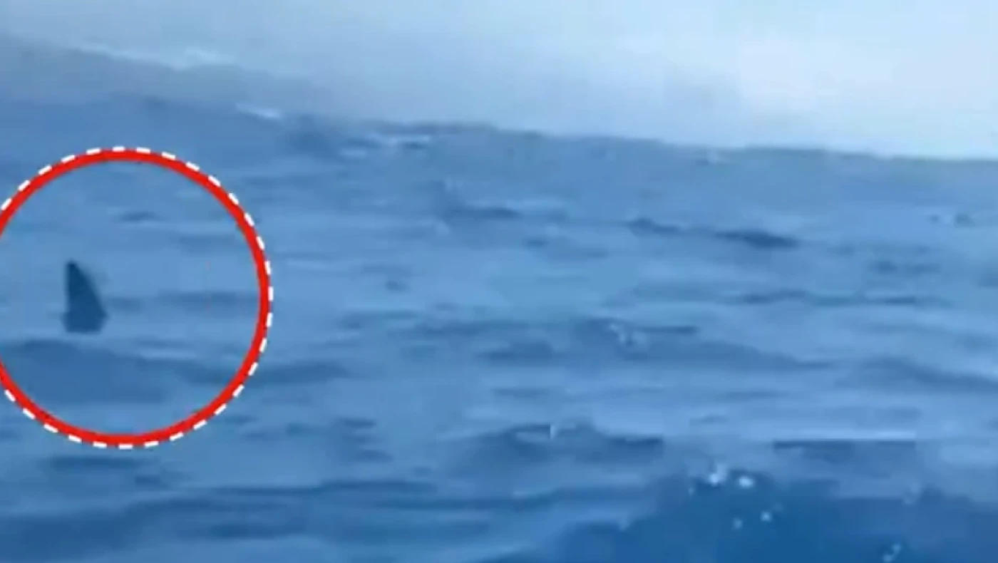 Ισπανία: Στιγμές τρόμου για ψαρά που τον περικύκλωσε καρχαρίας