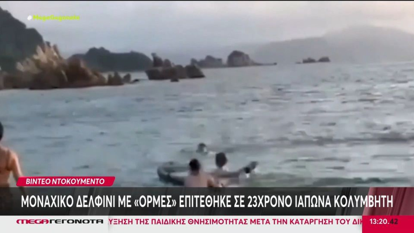 Δελφίνι επιτέθηκε σε 23χρονο στην Ιαπωνία: Φταίει το ότι ήταν μοναχικό λένε οι επιστήμονες (vid)