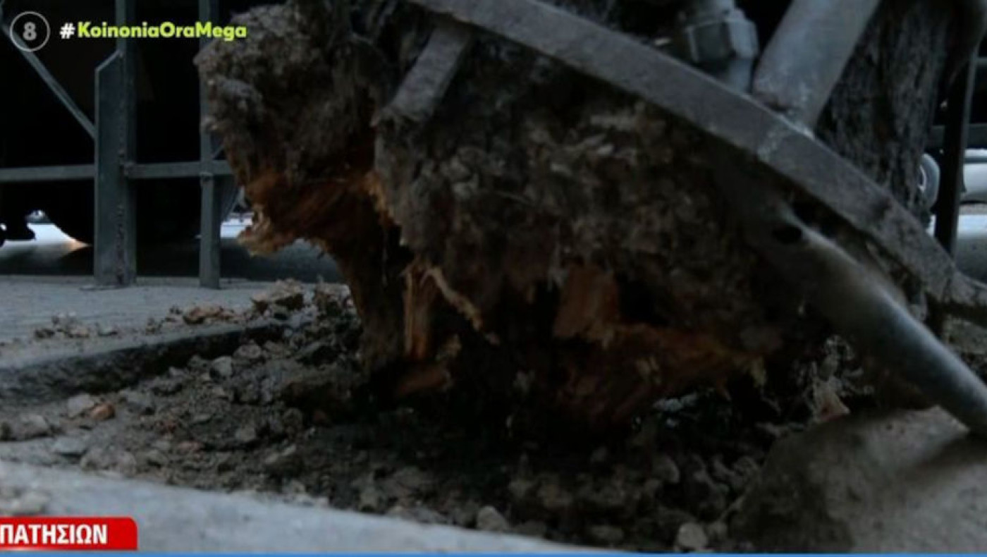 Πατησίων: Το δέντρο έπεσε στο φορτηγό ή το φορτηγό στο δέντρο;