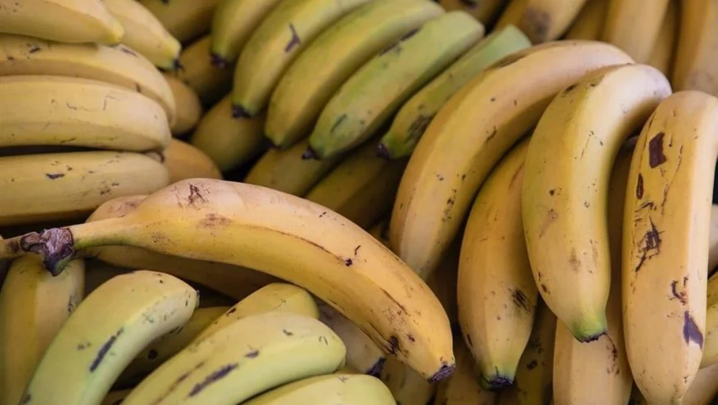 Σουηδία: Πώς η... μπανανοφοβία μιας υπουργού έγινε εθνικό θέμα