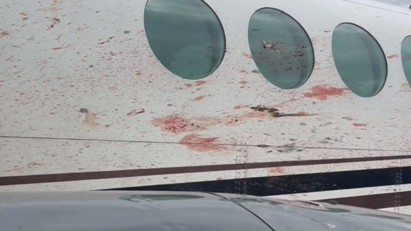 Αεροπλάνο βάφτηκε με αίμα ενώ βρισκόταν στον αέρα