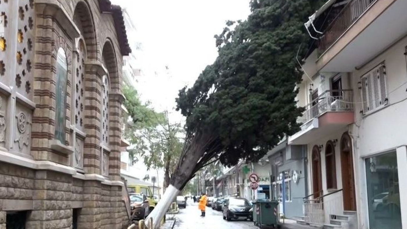 Θεσσαλονίκη: Δέντρο προσγειώθηκε σε μπαλκόνι πολυκατοικίας
