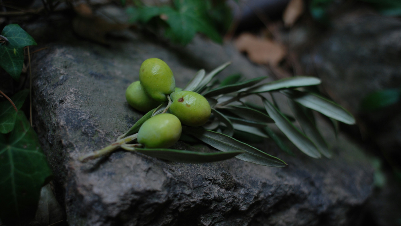 Ελαιόλαδο: Αποκλιμακώνονται οι τιμές το 2025 - Πόσο «πάει» το λίτρο