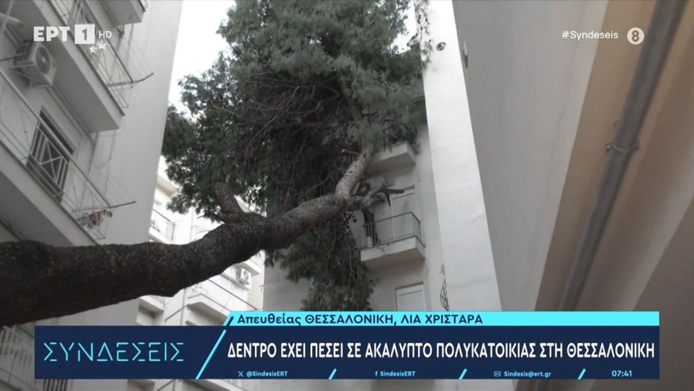 Θεσσαλονίκη: Δέντρο έπεσε σε πολυκατοικία-Παραμένει τουλάχιστον 10 μέρες στα μπαλκόνια