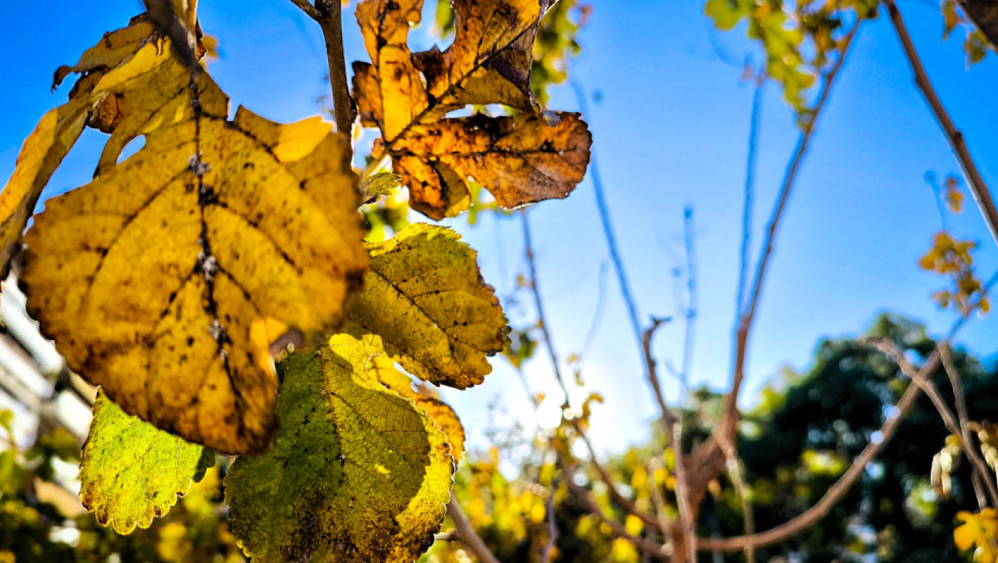 Ο καιρός της Πέμπτης (19/12): Αίθριος με μικρή πτώση θερμοκρασίας