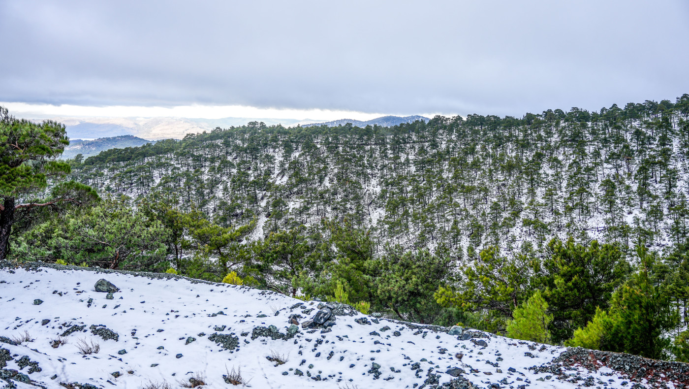Έρχονται χιόνια και πτώση θερμοκρασίας - Ποιες περιοχές πλήττονται