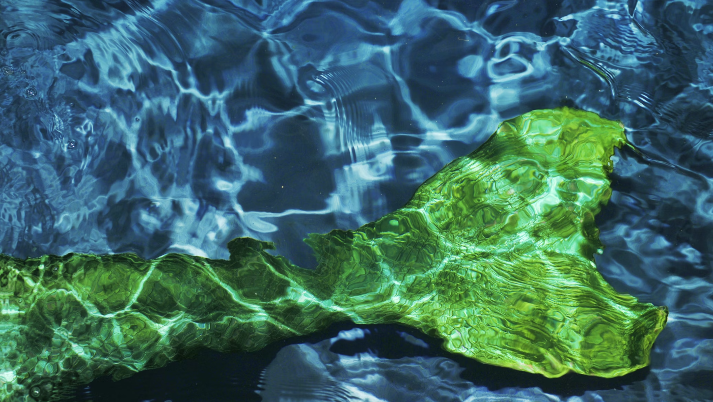 Ποια είναι η «γοργόνα» από τη Θεσσαλονίκη που κολύμπησε με σαλάχια στις Μαλδίβες!