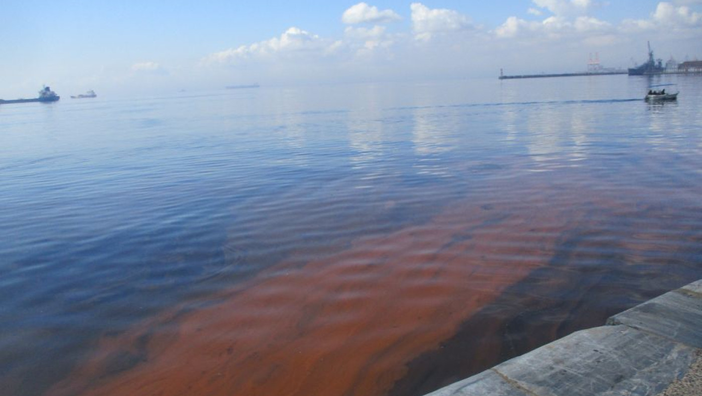 Θεσσαλονίκη: Καφέ χρώμα σε σημεία του Θερμαϊκού