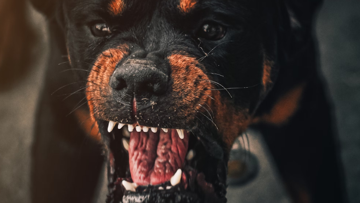 Προσπάθησε να πουλήσει ανθρώπινα δάχτυλα που κατανάλωσαν σκυλιά!