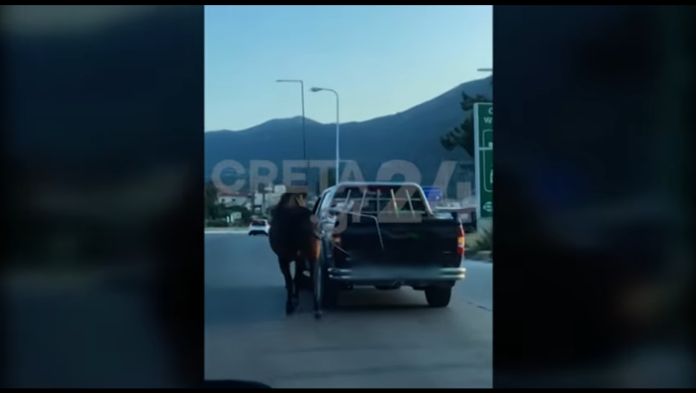 Κτηνωδία στο Ηράκλειο: Έδεσε άλογο σε εν κινήσει αγροτικό αυτοκίνητο