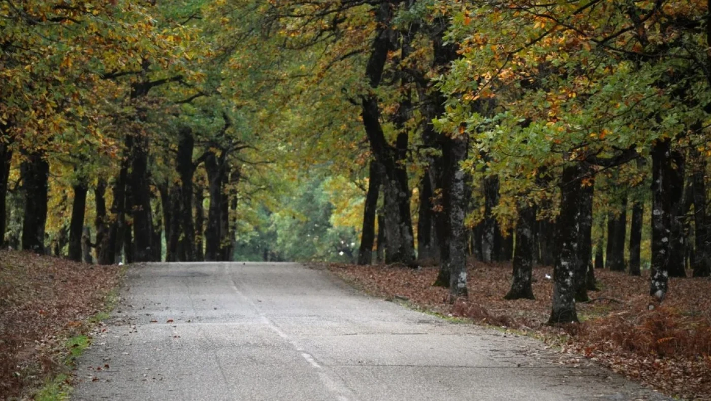Ο ονειρεμένος δρόμος της Ελλάδας που μάγεψε τον πλανήτη