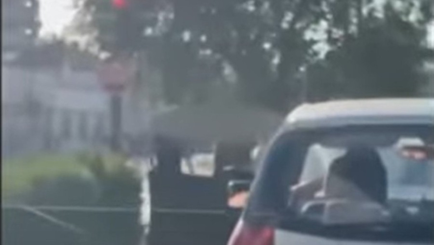 Χαμός στα Τρίκαλα: Άγριο ξύλο σε φανάρι κεντρικού δρόμου!