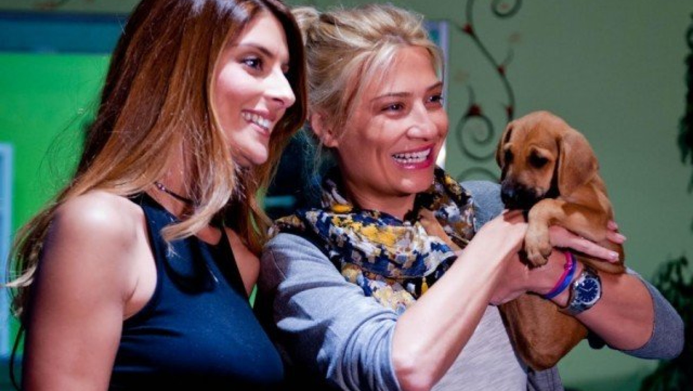 Θεσσαλονίκη: Σκορδά και Σαλαγκούδη βοήθησαν σε φιλοζωικό event (ΦΩΤΟ)