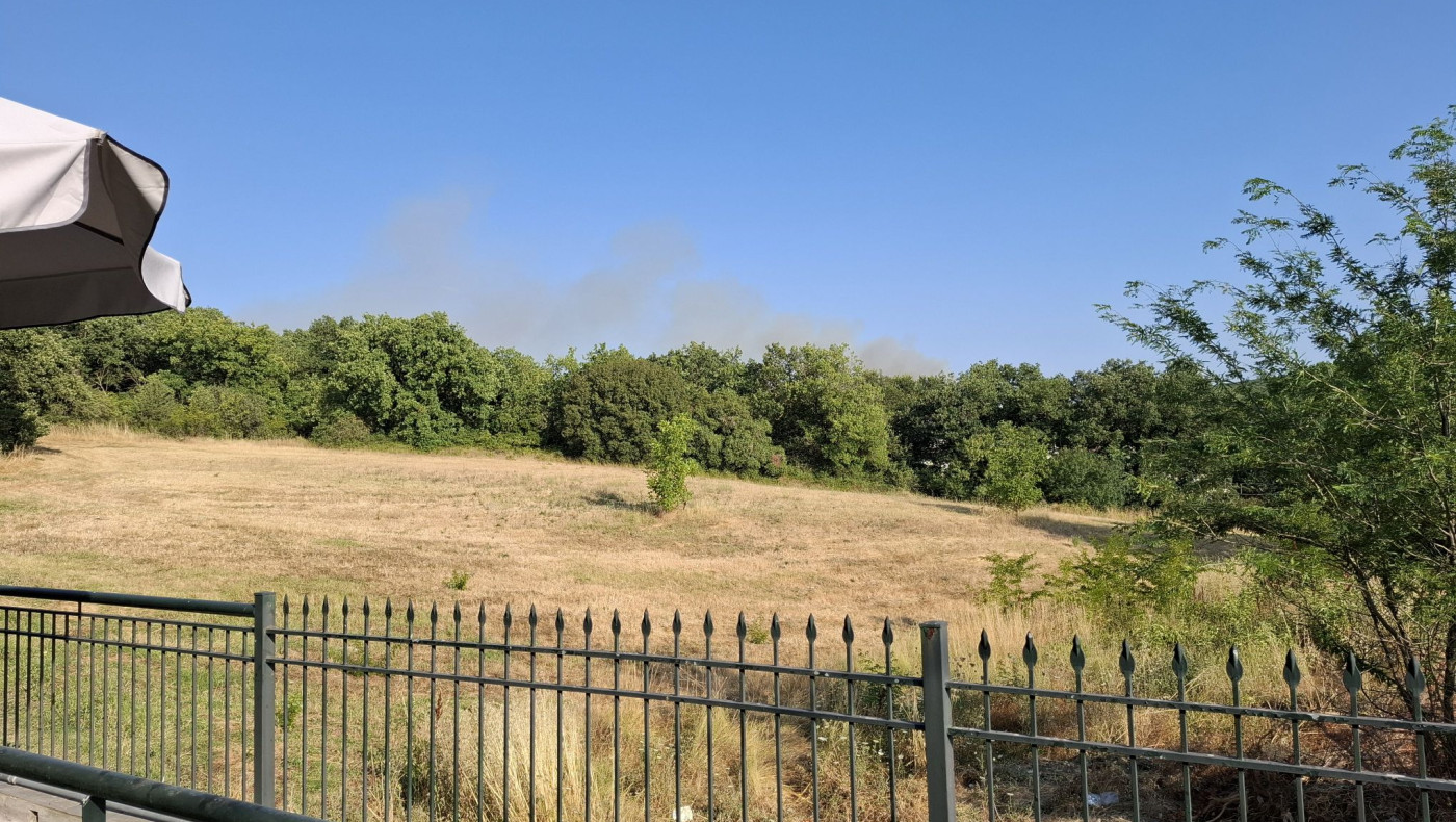 Θεσσαλονίκη: Συναγερμός για τη φωτιά στο Φίλυρο-Ήχησε το 112