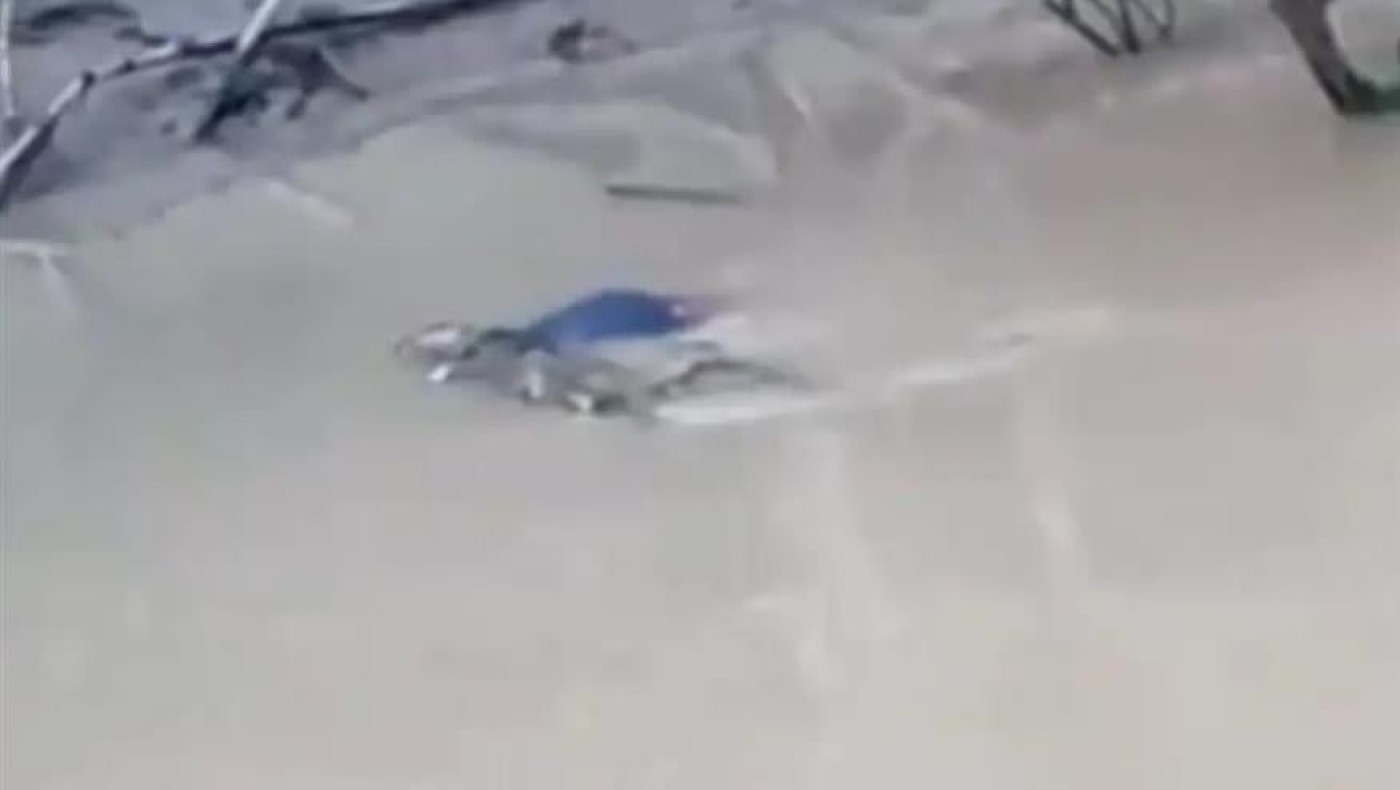 Έβλεπαν κροκόδειλο να κατασπαράζει τον φίλο τους!