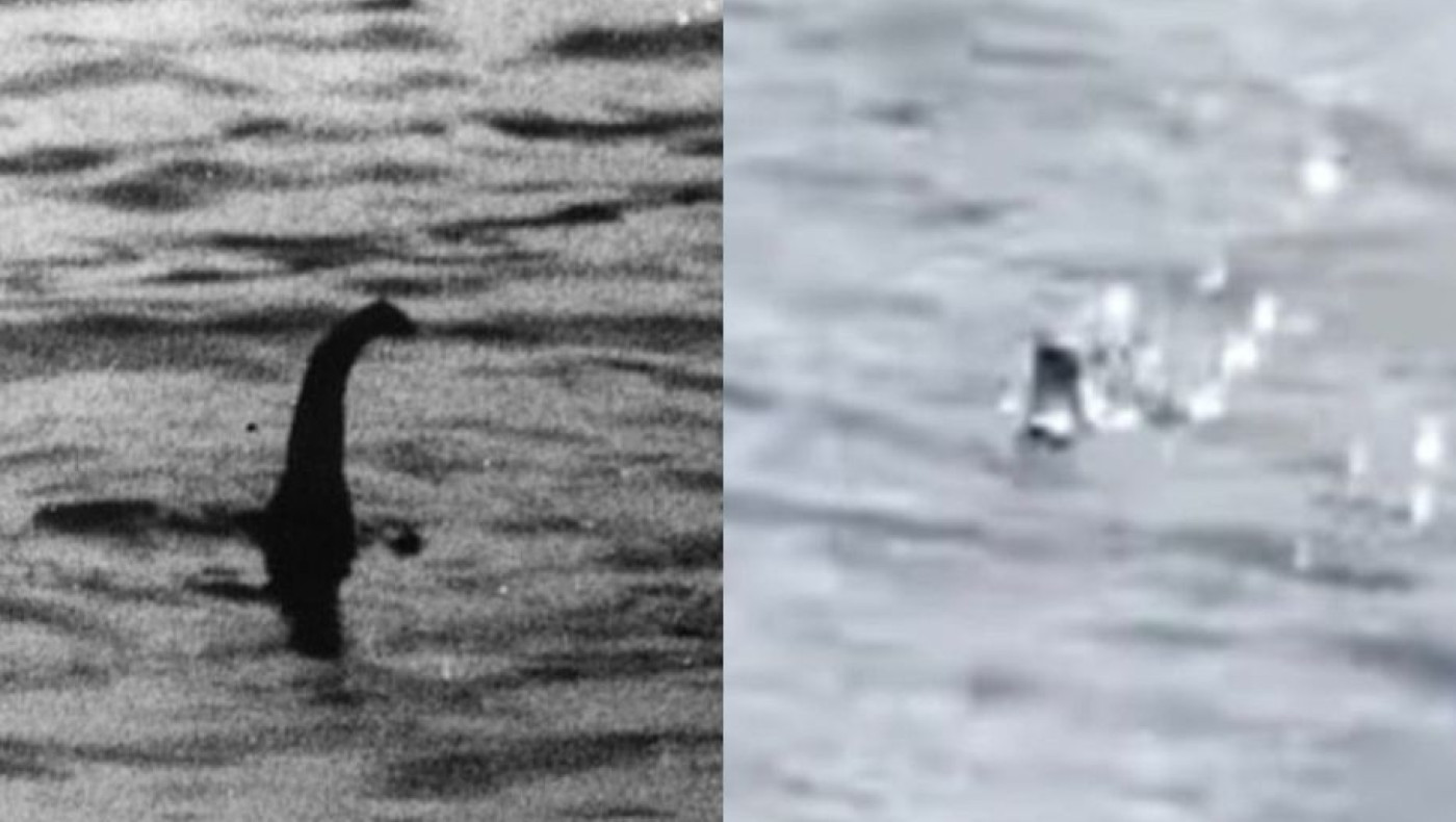 Η «Nessie» είναι εδώ-Επισκέπτρια «έπιασε» το τέρας του Λοχ Νες (vid)