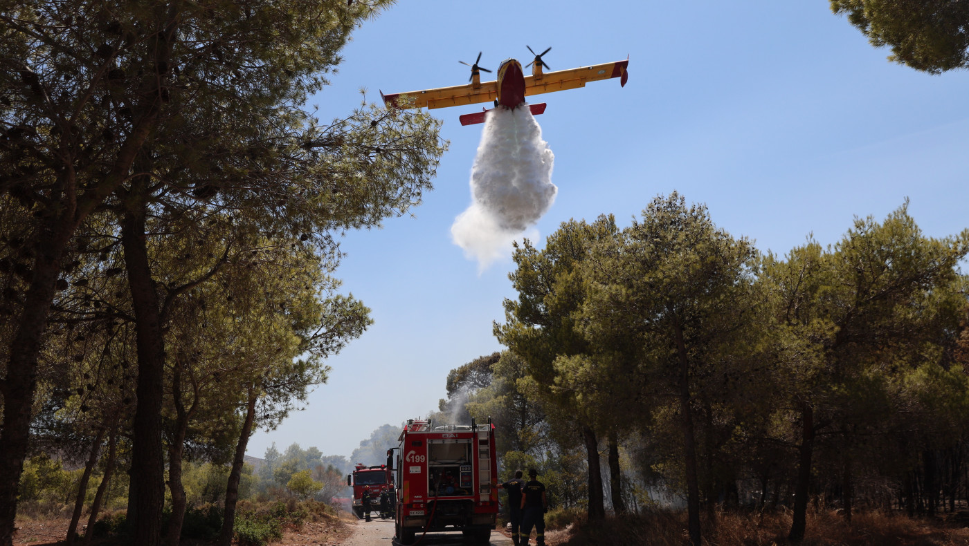 Φωτιά στη Βόλβη: Στο Βαϊοχώρι έφτασαν οι φλόγες-Ήχησε το «112»