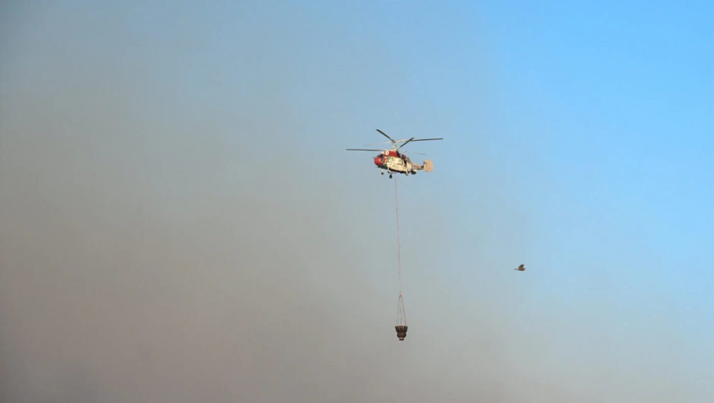 Τρομακτική η κατάσταση στην Πάτρα: Η φωτιά «αγκάλιασε» την πόλη!