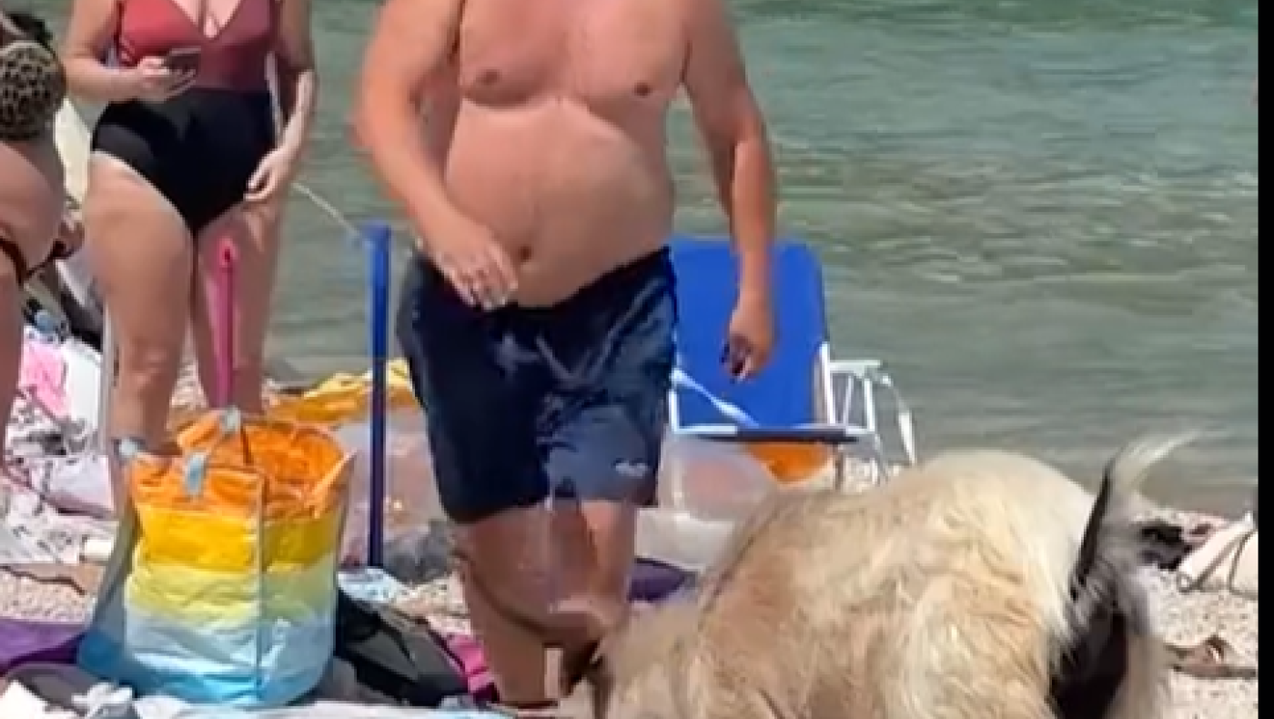 Κρήτη: Κρι-κρι πάει στην παραλία και τρώει το φαγητό τουριστών!