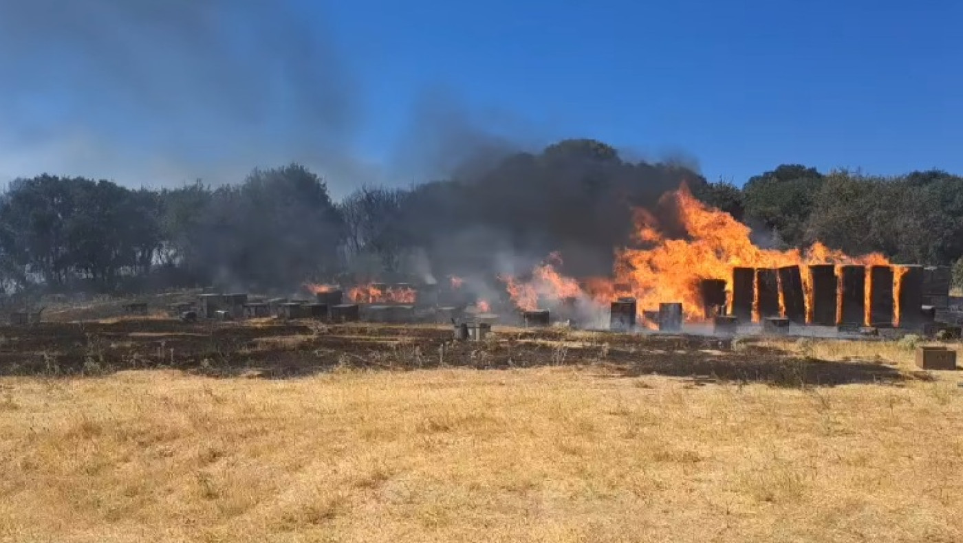 Θεσσαλονίκη: Οριοθετήθηκε η φωτιά στον Χορτιάτη