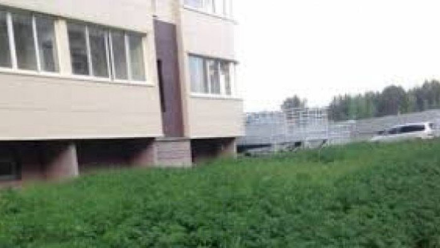 Απίστευτο: Φύτεψαν κάναβη σε δημοτικό σχολείο με εντολή Δημάρχου!