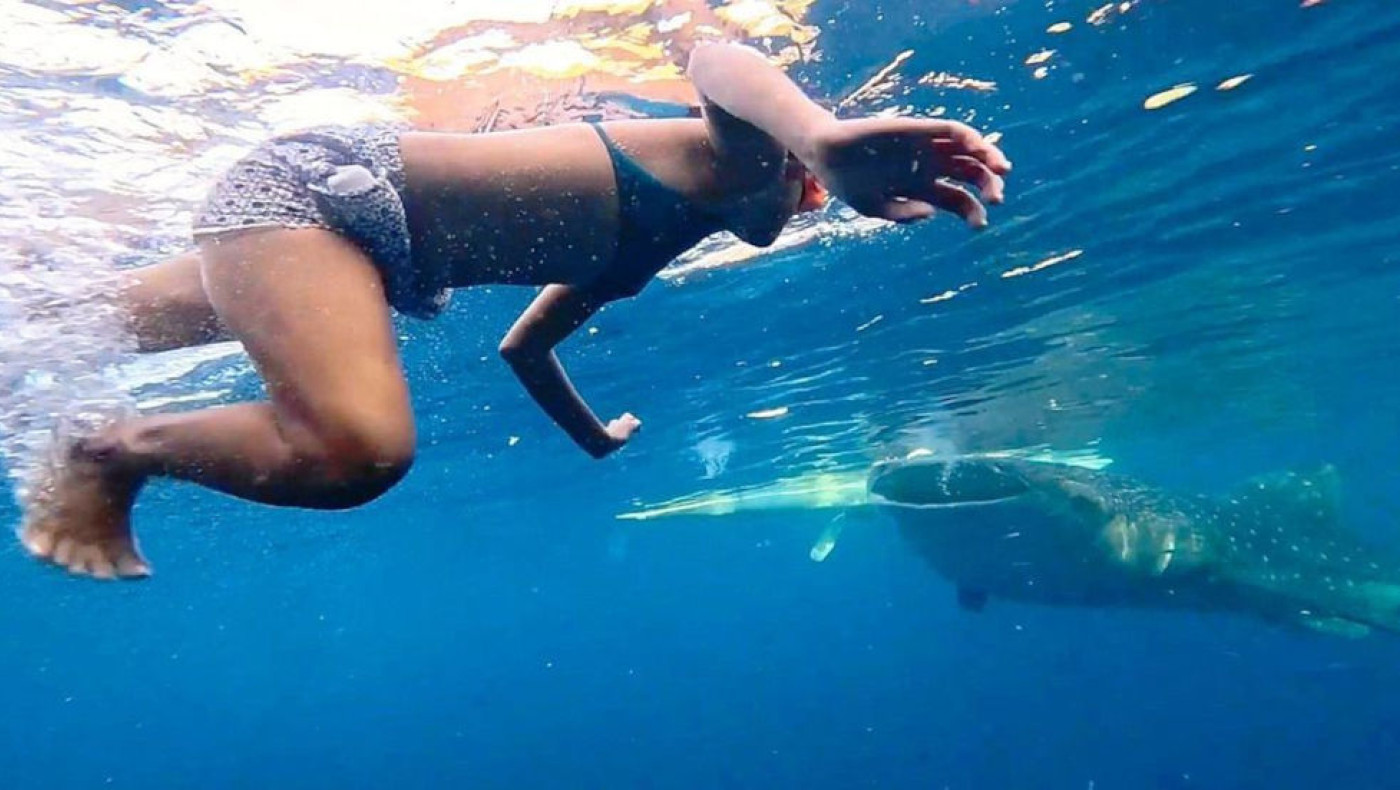 Κολυμβήτρια τα... είδε όλα! Σε άμεση επαφή με σαγόνια φαλαινοκαρχαρία