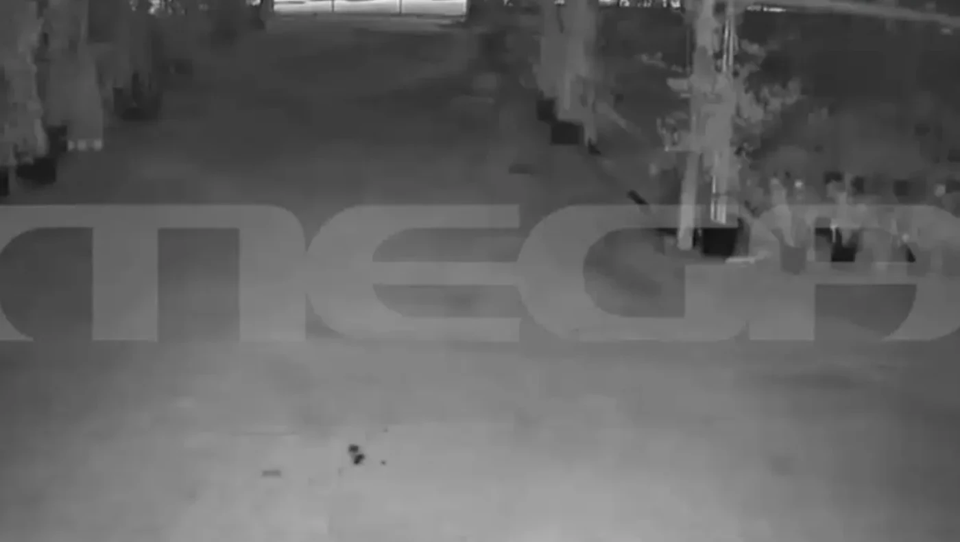 Βίντεο ντοκουμέντο: Οι έξι πυροβολισμοί του διπλού φονικού στη Φοινικούντα