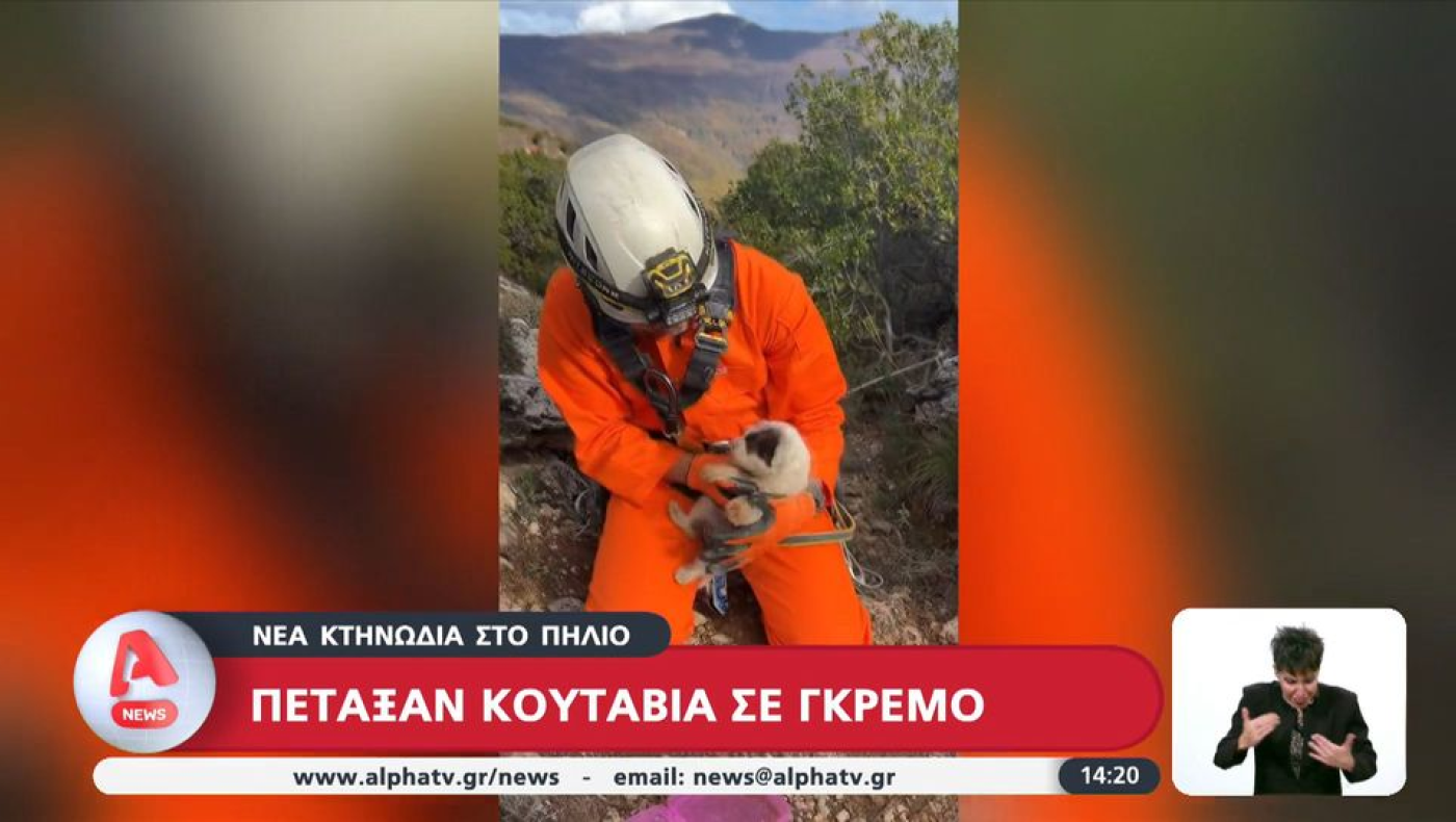 Απίστευτη κτηνωδία στο Πήλιο: Πέταξαν κουτάβια στο γκρεμό