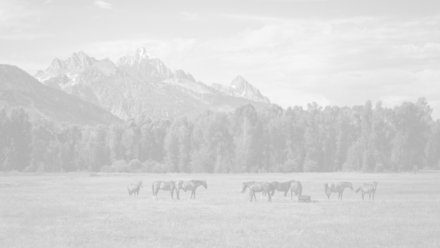 Άρθρο παρέμβαση του συντονιστή Κώστα Κιλτίδη: Το θεσμικό ζήτημα της Ελληνικής γεωργίας