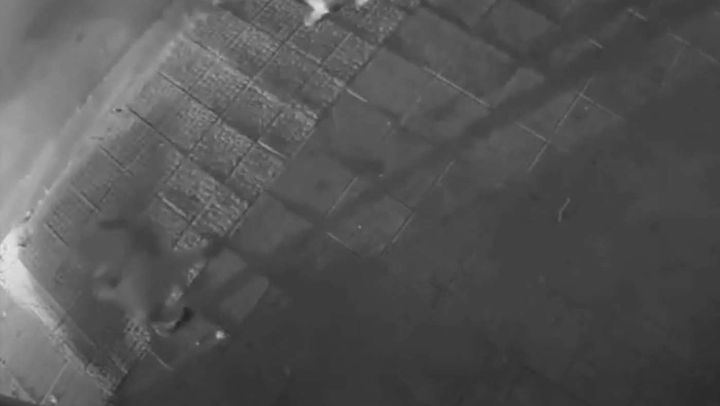 Βίντεο ντοκουμέντο: Η στιγμή της σύλληψης του γιου του Κατρίνη-Με κουζινομάχαιρο ο συνοδηγός του