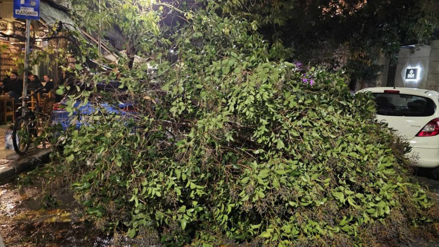 Θεσσαλονίκη: Πτώσεις δέντρων λόγω των ισχυρών ανέμων-Συστάσεις του Δήμου