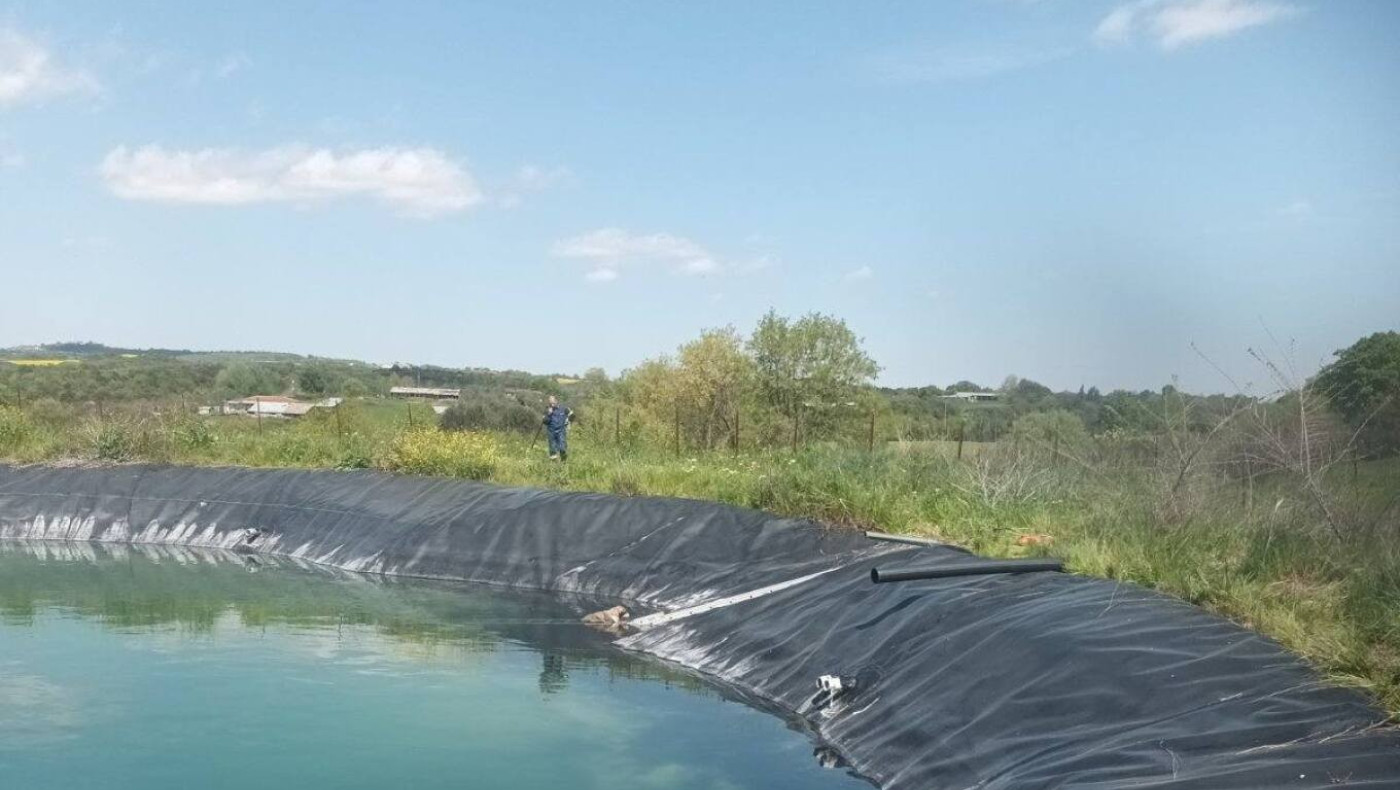 Κατερίνη: Αίσιο τέλος στη διάσωση έξι σκύλων από ταμιευτήρα άρδευσης