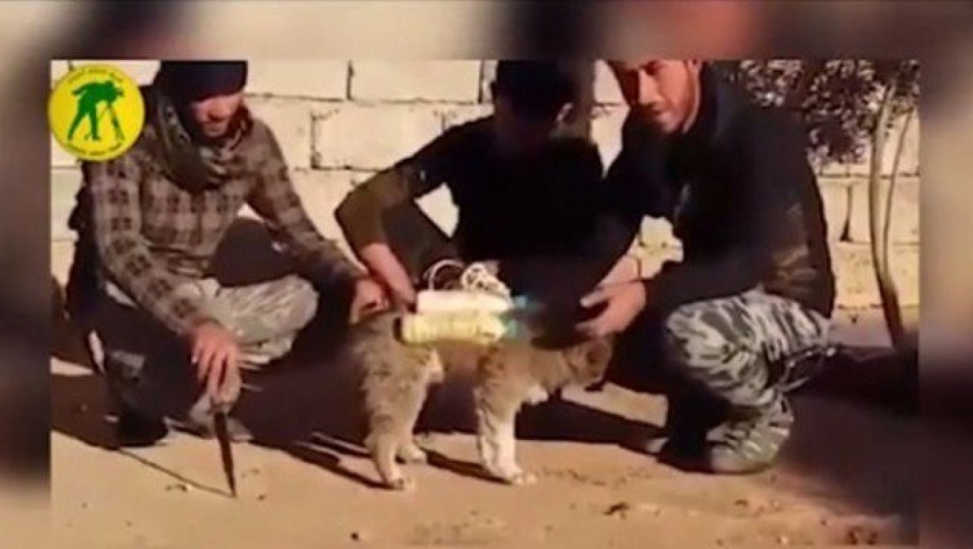 Πυροβολισμοί σε ομιλία του Φρανσουά Ολάντ - Δύο τραυματίες (ΒΙΝΤΕΟ)