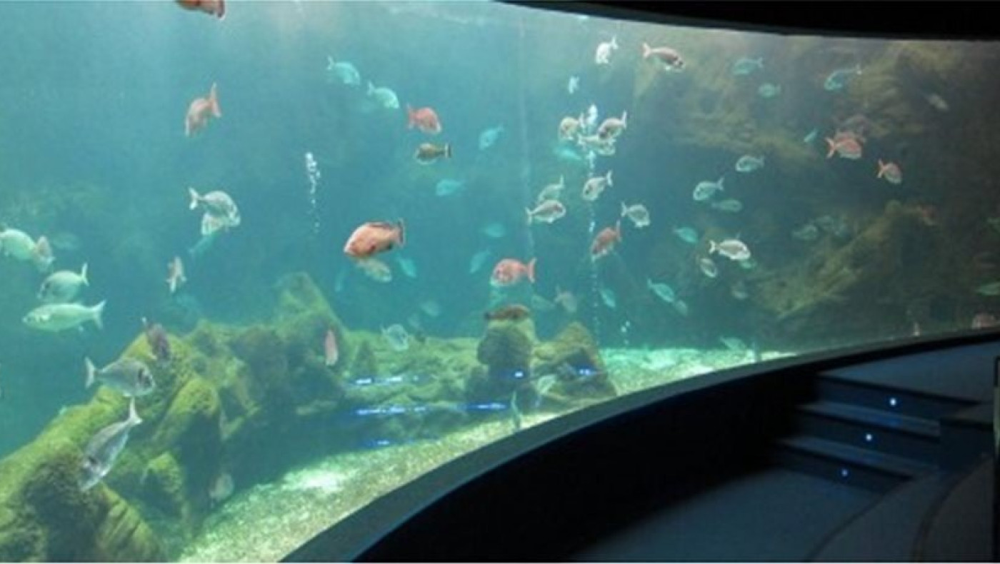 Στην Κρήτη δύο από τα καλύτερα ενυδρεία σε όλη την Ευρώπη