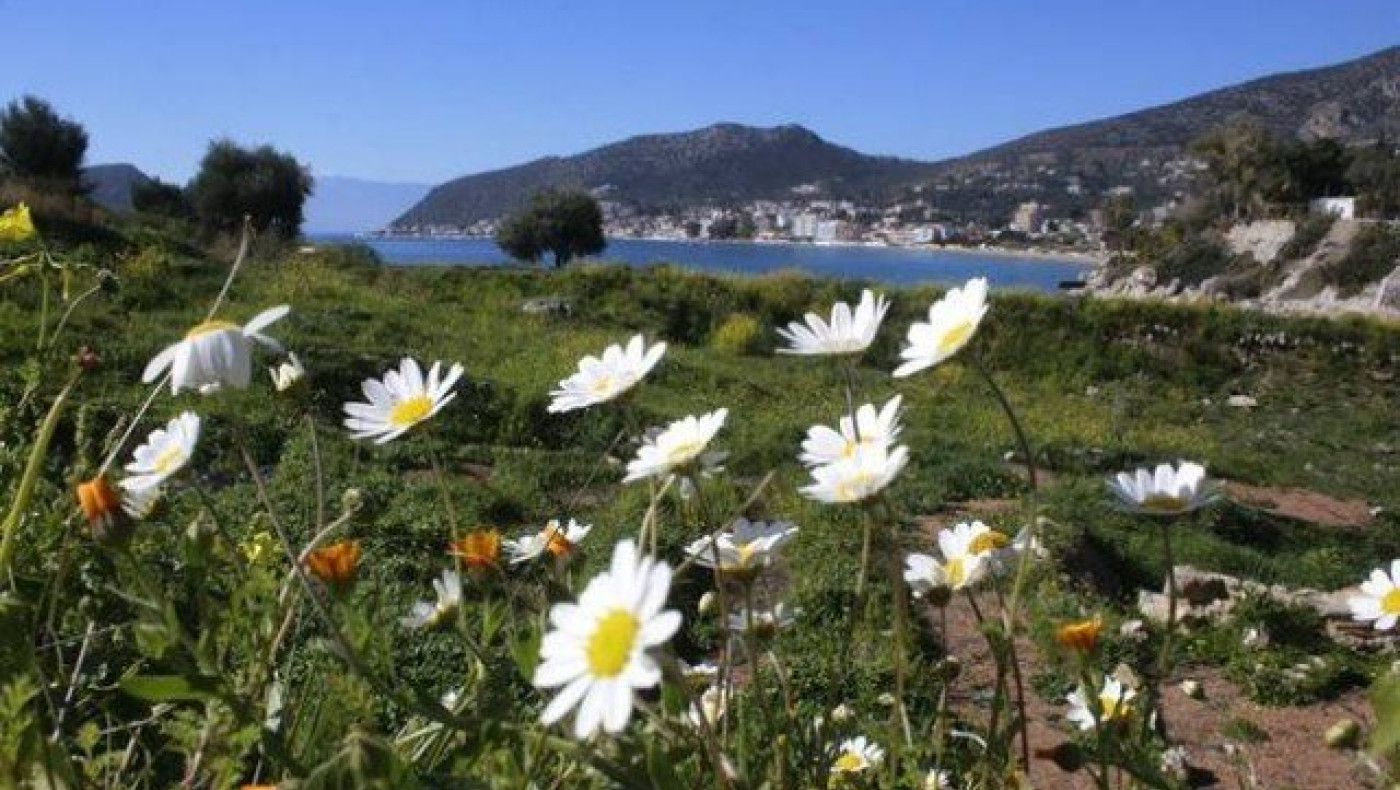 Σήμερα αρχίζει                                    και επίσημα η Άνοιξη