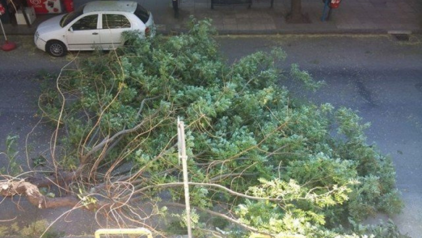 Θεσσαλονίκη: Πτώση δέντρων στον Περιφερειακό από τους ισχυρούς ανέμους