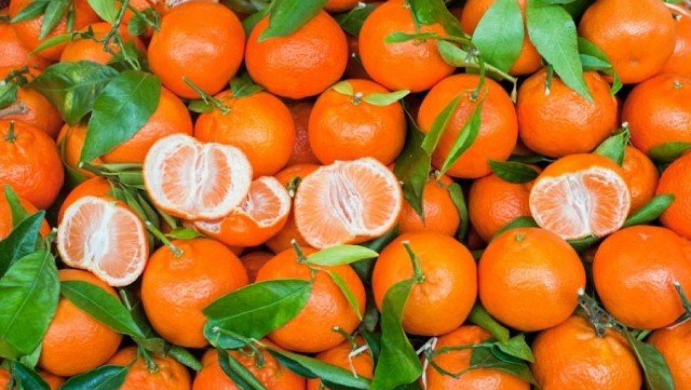 Θεσσαλονίκη: Έκλεψαν δύο τόνους μανταρίνια από τη Λαχαναγορά