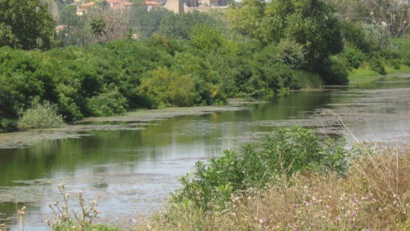 Τριπλό έγκλημα στον Έβρο: Μητέρα & κόρες έδειξε η εξέταση DNA (BINTEO)