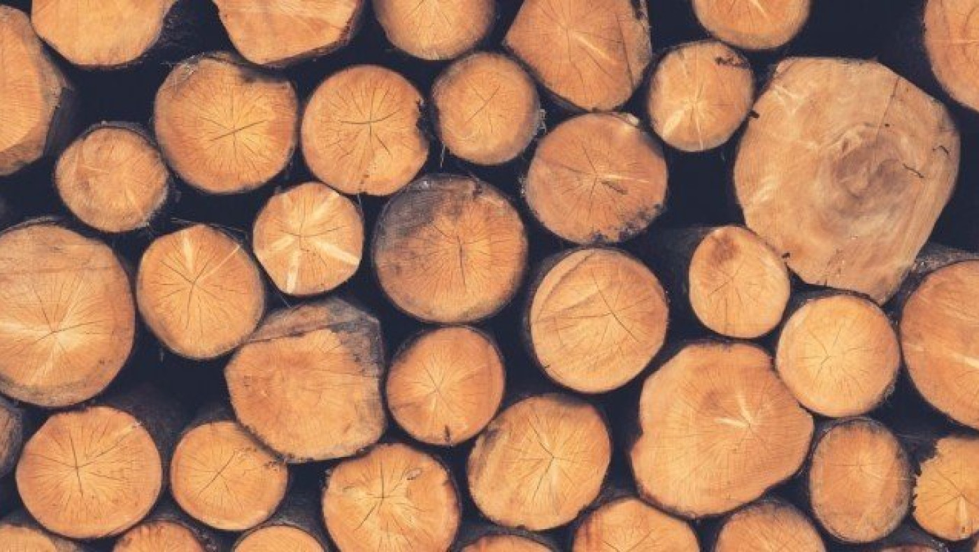 Δήμος Θεσσαλονίκης: Δωρεάν καυσόξυλα σε          πολίτες