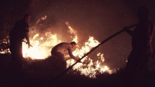 Στάχτη 700 στρέμματα στη Χαλκιδική