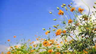 Η πρόβλεψη του Σάκη Αρναούτογλου: Έρχεται η… άνοιξη