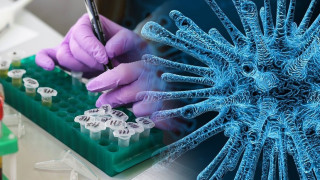 SOS Μαγιορκίνη για κορονοϊό και ιώσεις: Εάν έχετε αυτά τα συμπτώματα να μην πάτε σε συγκεντρώσεις