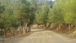 Κλείνει το Σέιχ Σου λόγω κορωνοϊού ο Τζιτζικώστας!