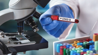 Κοιτάζοντας το δένδρο ﻿και αγνοώντας το δάσος