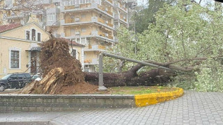 Έπεσαν δέντρα, ανατράπηκαν φορτηγά από την κακοκαιρία στην Ξάνθη