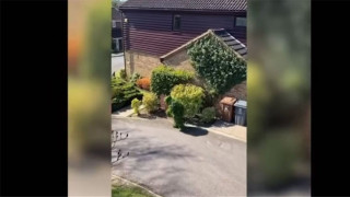 Βρετανός ντύθηκε θάμνος και «έσπασε» την καραντίνα